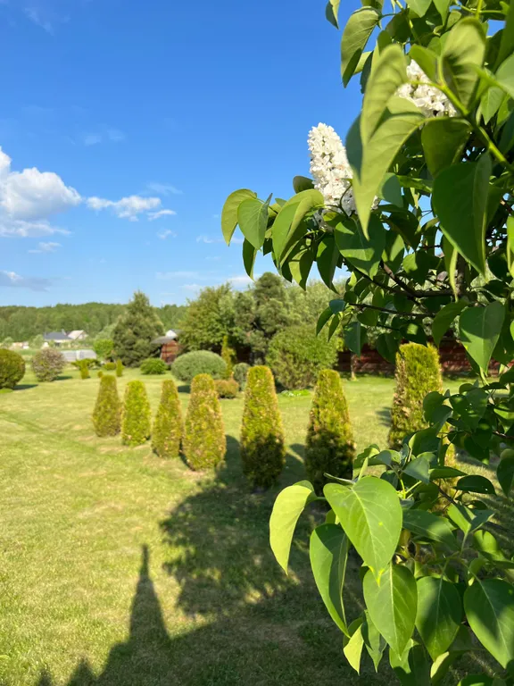 Усадьба У Захара Силичи Логойск