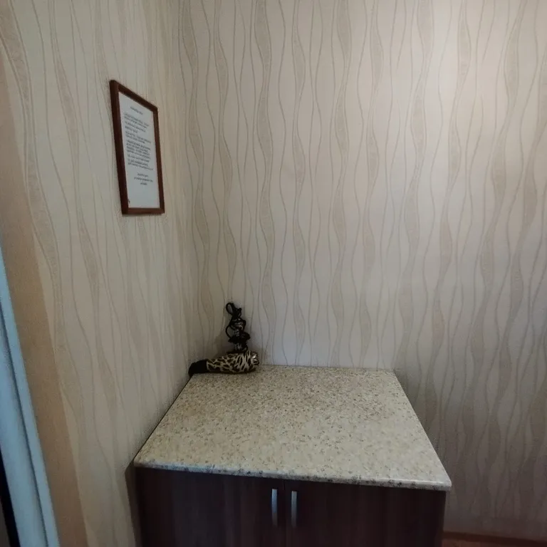 Уютный стандарт в сердце Златоуста