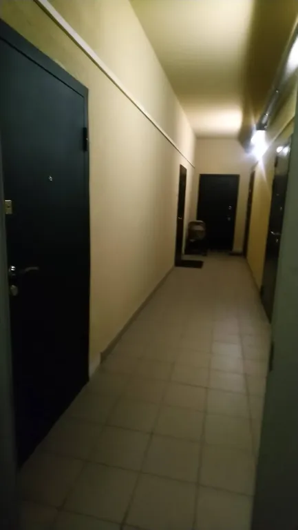 Уютная студия в Новом Петергофе