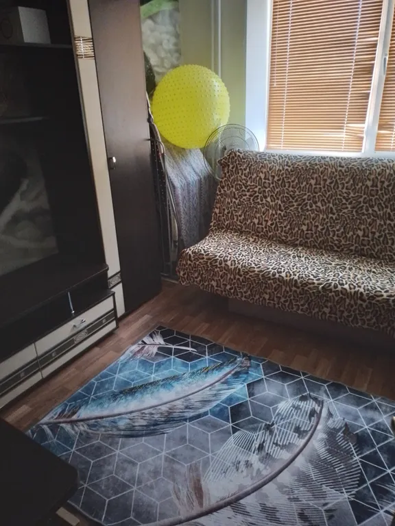 Комната в центре города