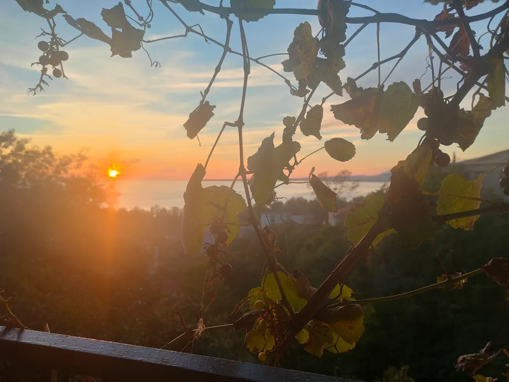 Коттедж 1-комнатный Дом — Сухум