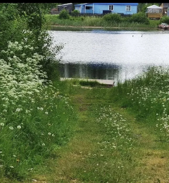 Дом у речки Путкозеро