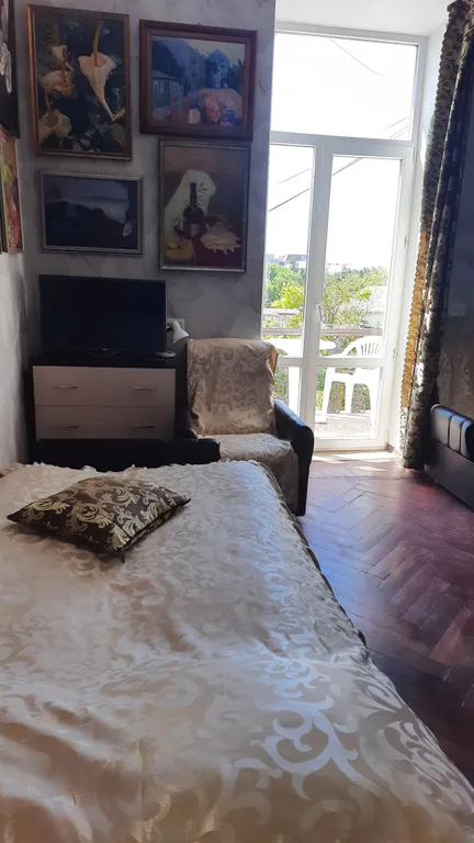 Студия Пушкина рядом с морем