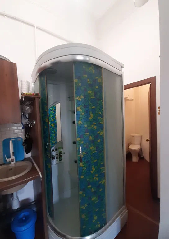 Двушка в старинном особняке у самого парка с двумя балконами