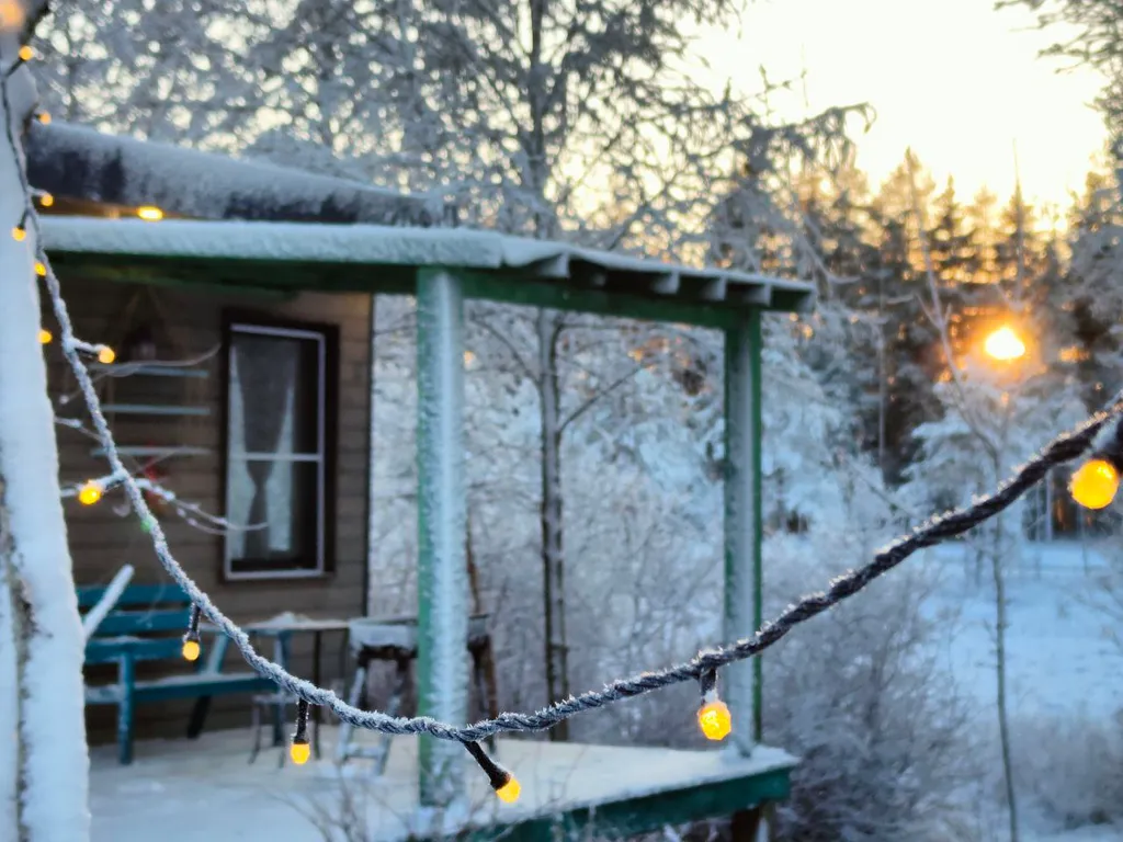 Коттедж Дом Леса — Краснознаменка