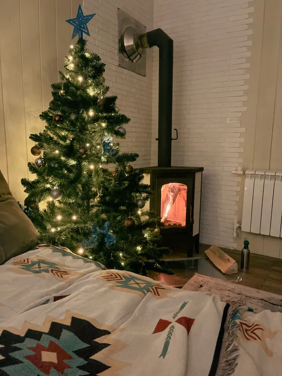 Дом на берегу Катуни