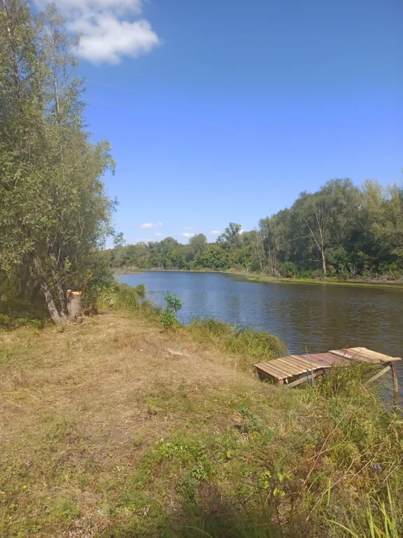 Коттедж в Царевщине