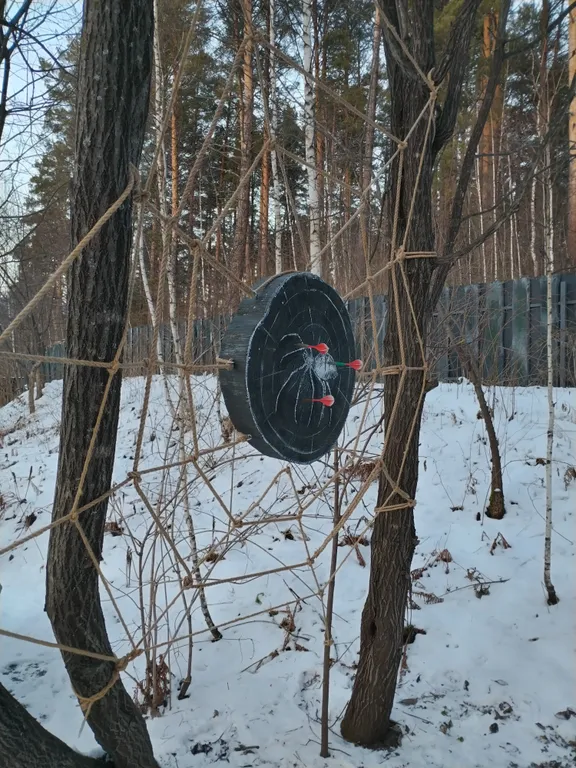 Дом в сосновом лесу