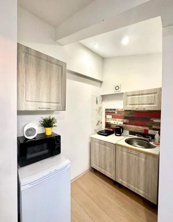 Уютная студия Мансард с окном в потолок