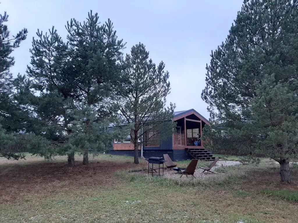 Дом в  соснах.