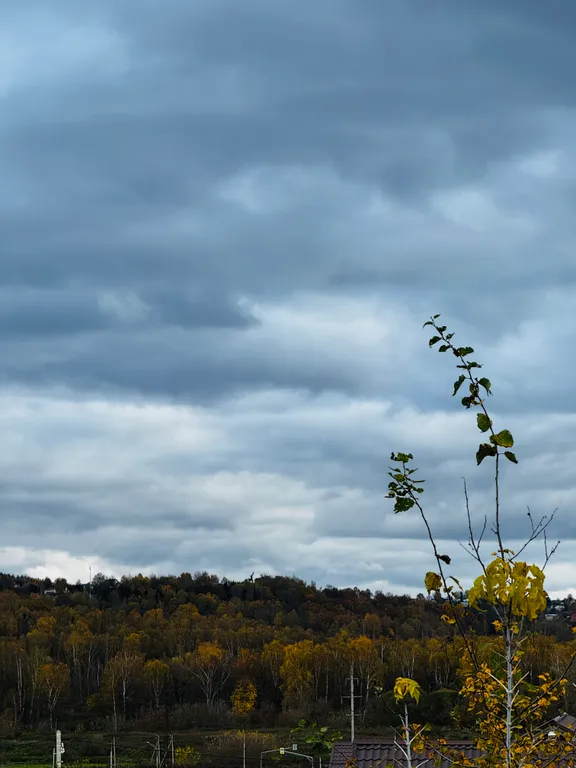 Новенький дом с сибирским чаном