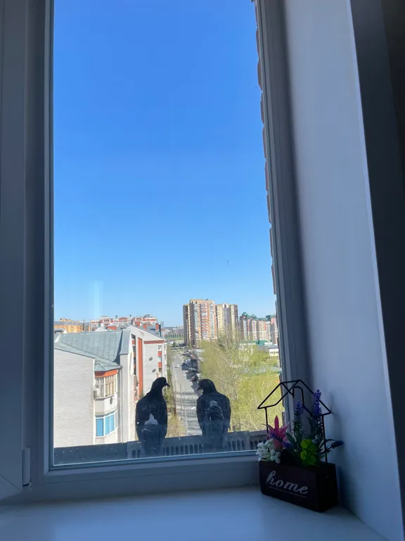 Уютная гостинка с шикарным видом на город