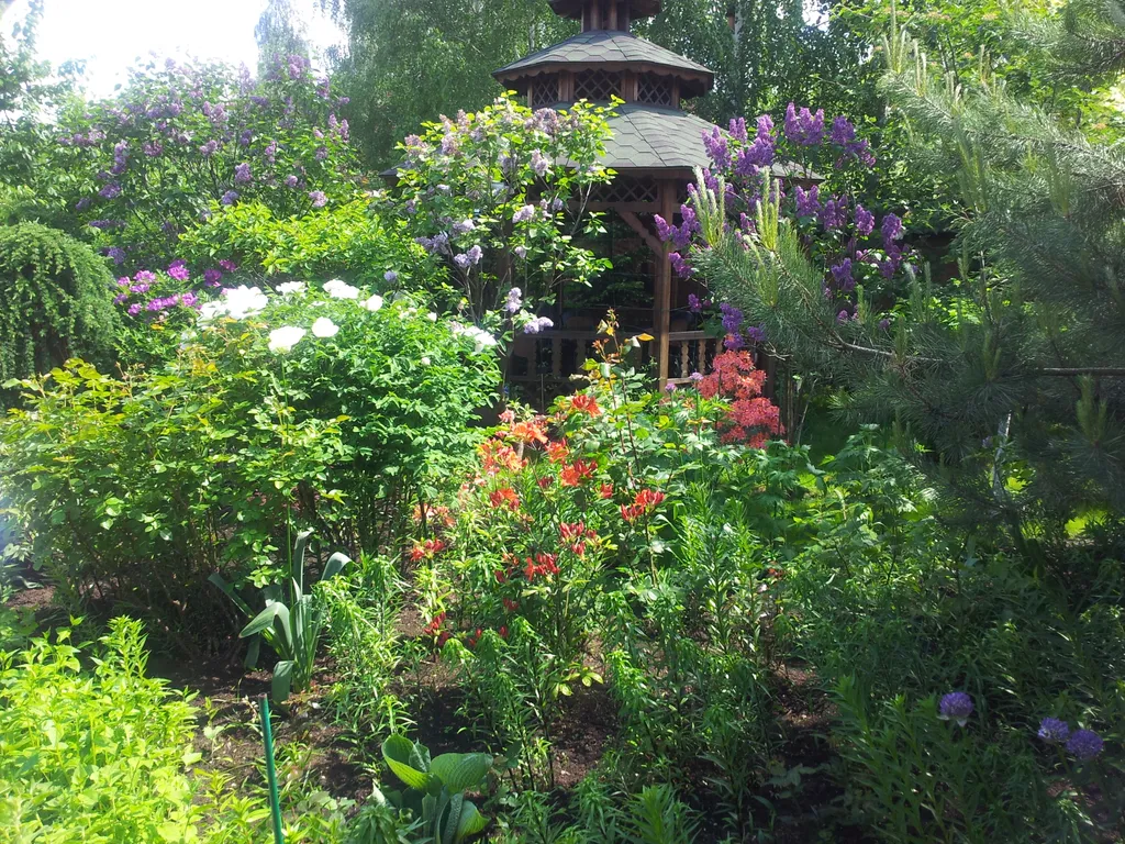 Дом в ботаническом саду