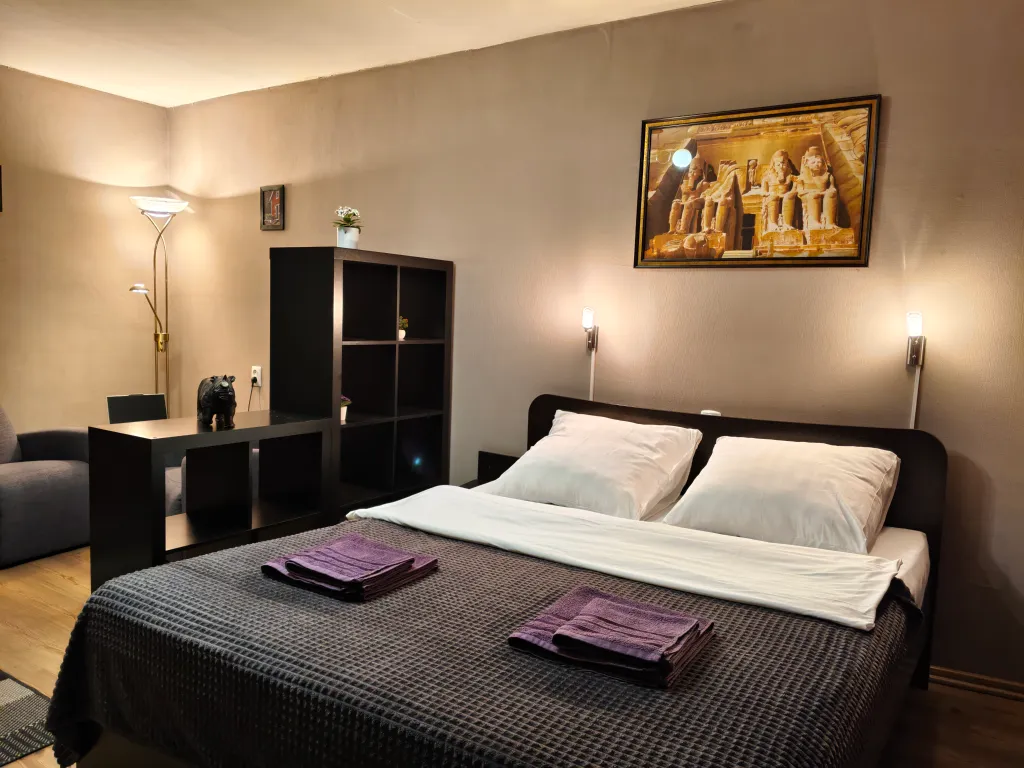 Просторная квартира с балконом в центре