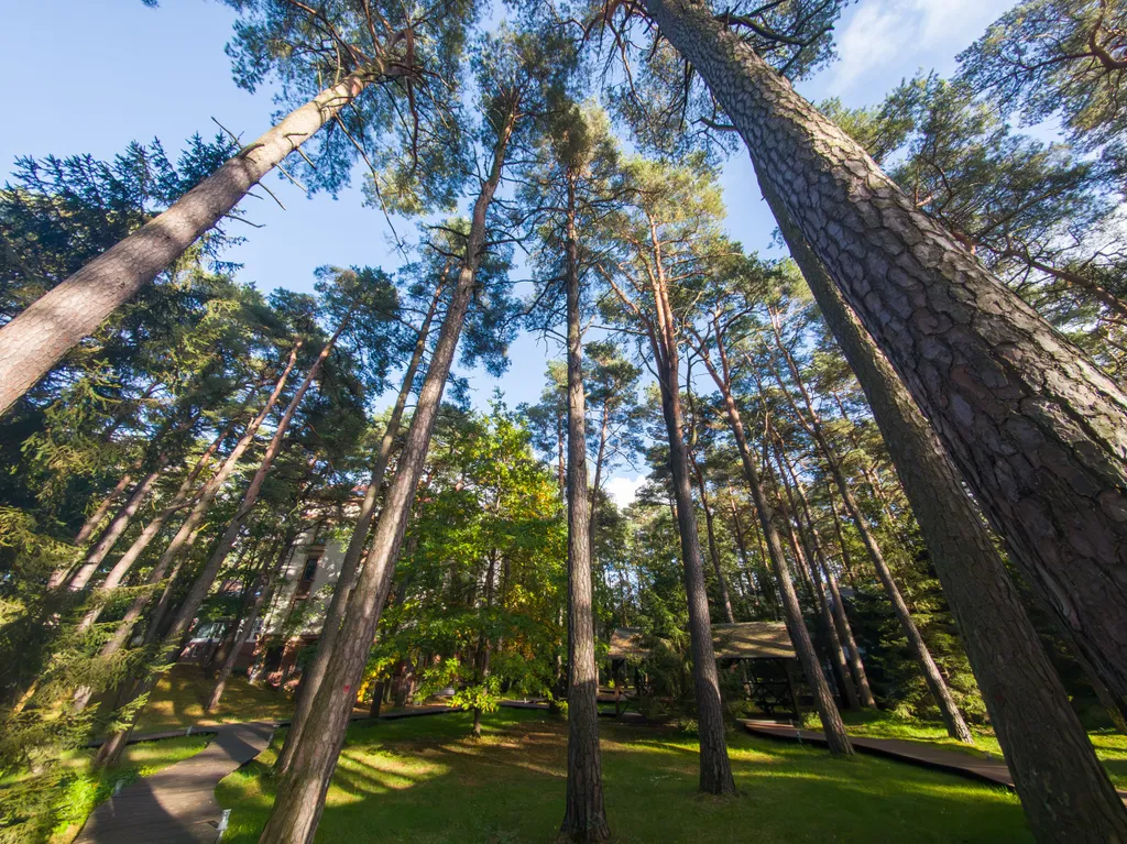 Двухуровневые апартаменты в тихом пространстве