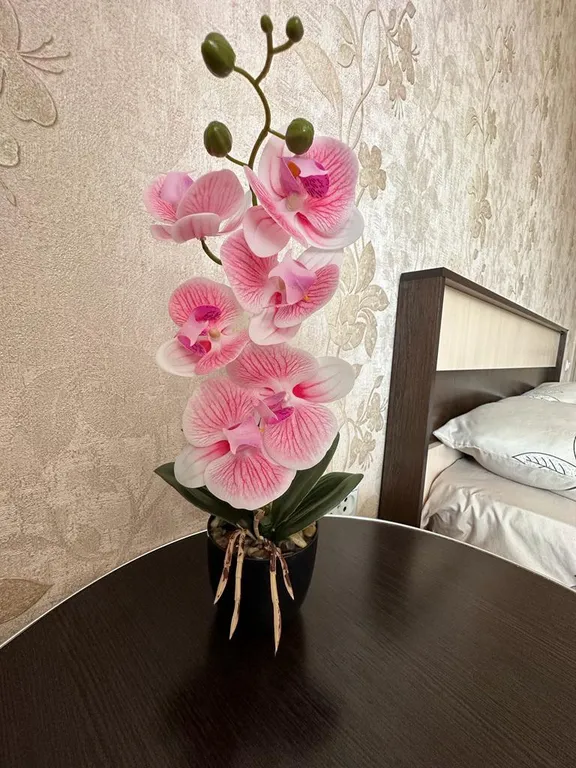 Уютная солнечная квартира в районе вокзала