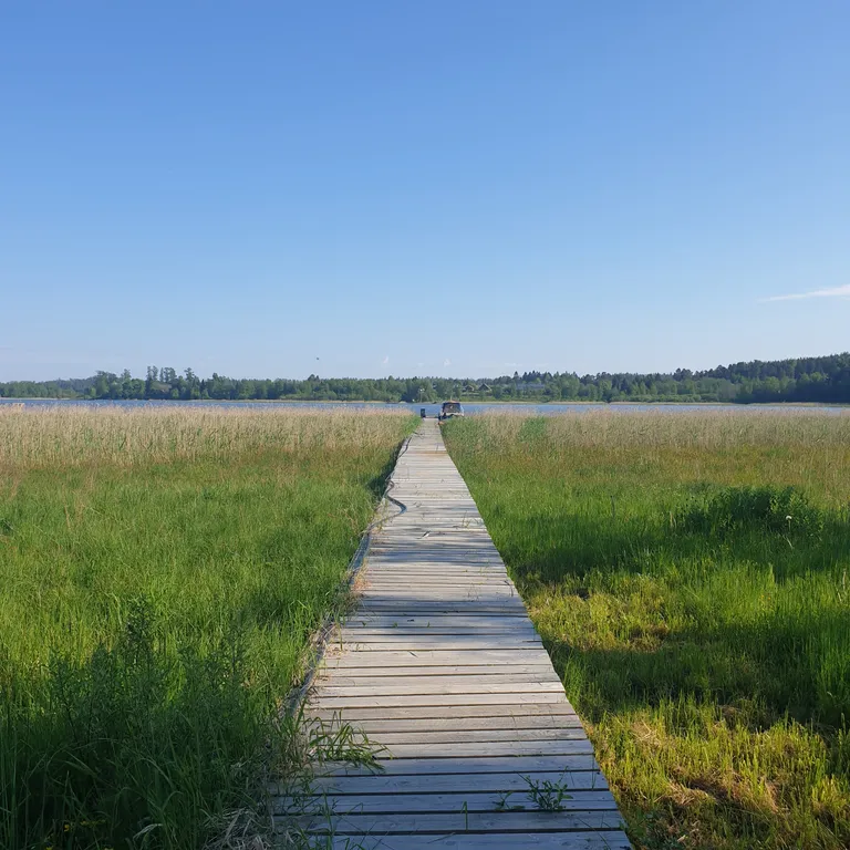 Приют водолаза