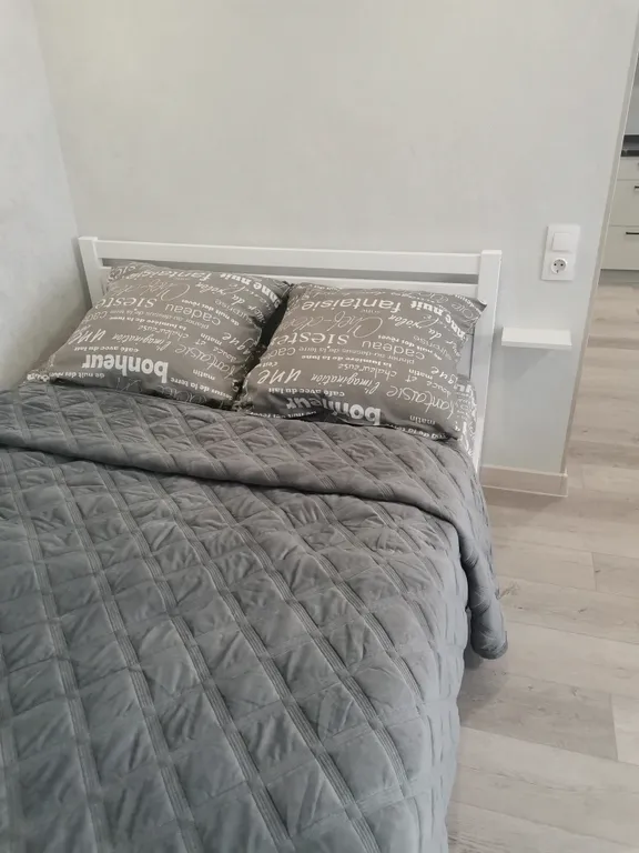 Уютная просторная квартира студия