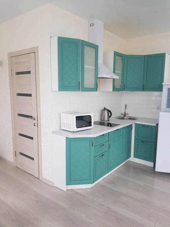 Квартира 1-комнатная Квартира — Сириус