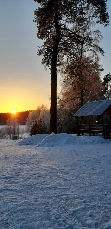 Уютный домик у леса