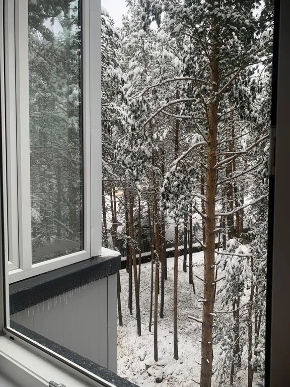 Новая квартира в Терсколе