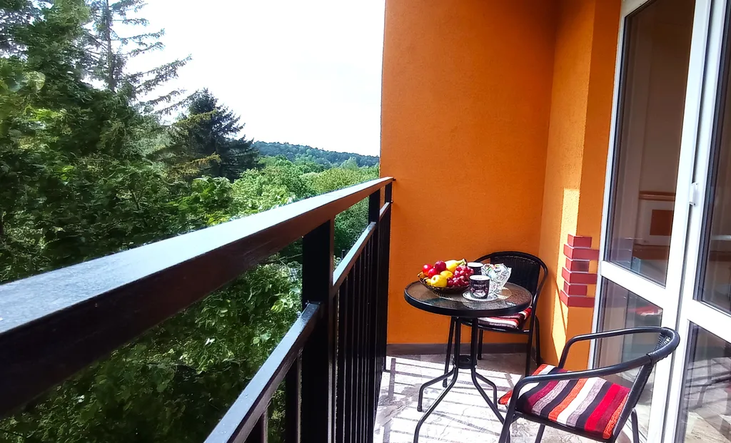 Прекрасная квартира на берегу Балтийского моря — аренда посуточно в Светлогорск