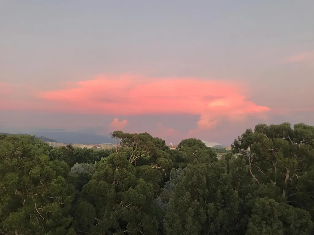 Квартира Квартира Студия с видом на горы, море и бамбуковую рощу в ЖК Сорренто Парк — Сириус