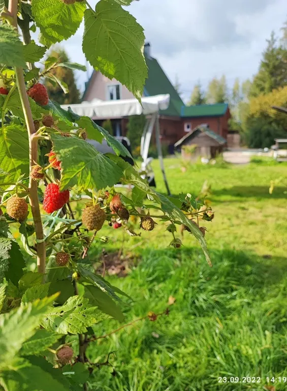 Поместье-Парк на Стрелке