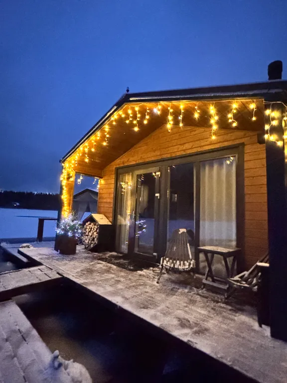 Дом на берегу реки, заснеженный лес, хаусбот