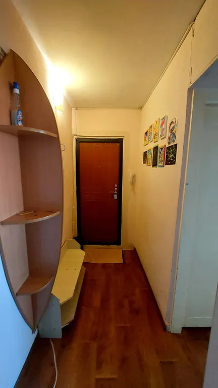 Уютная однокомнатная квартира