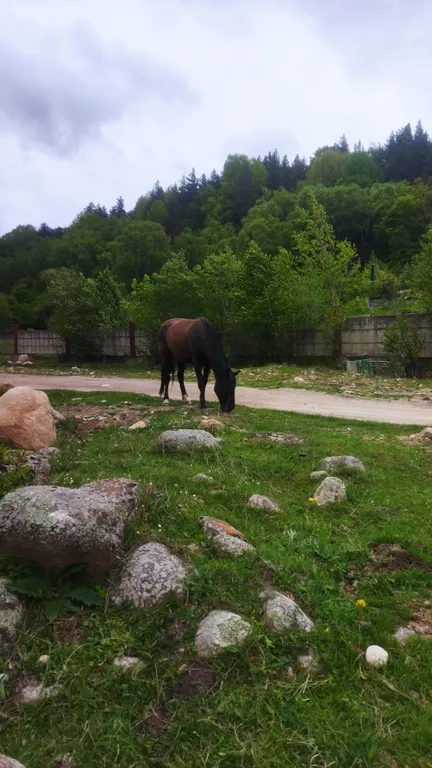 Уютная, тёплая квартира с видом на горы