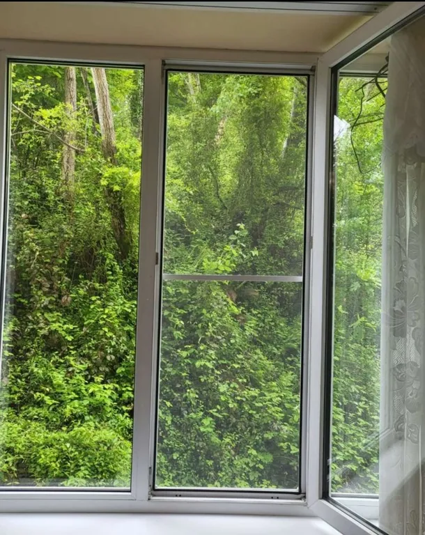 Студия у леса и моря