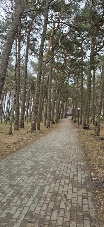 Уютная квартира на побережье