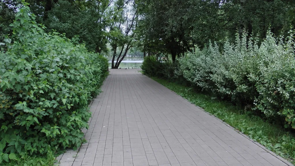 Студия на Московском проспекте (3)