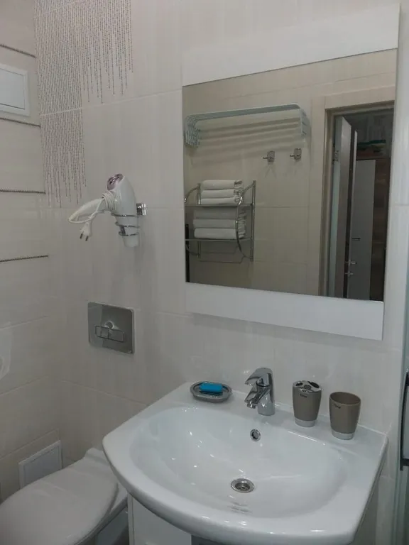 Квартира 1-комнатная Квартира — Светлогорск