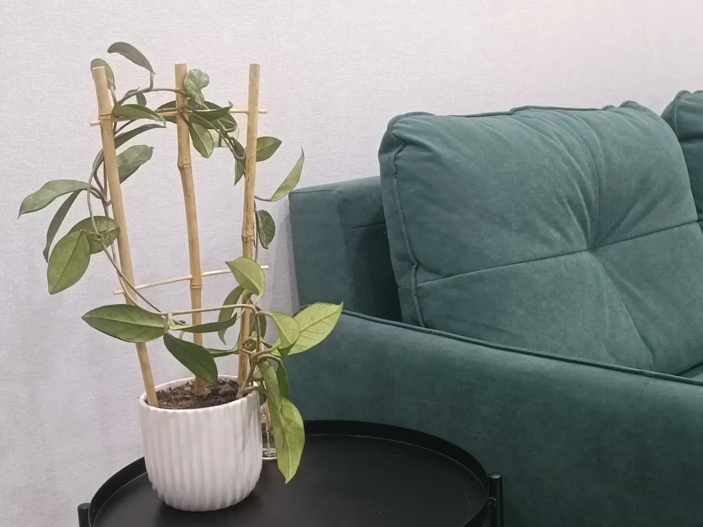 Квартира Квартира Приморская однушка — Цемдолина