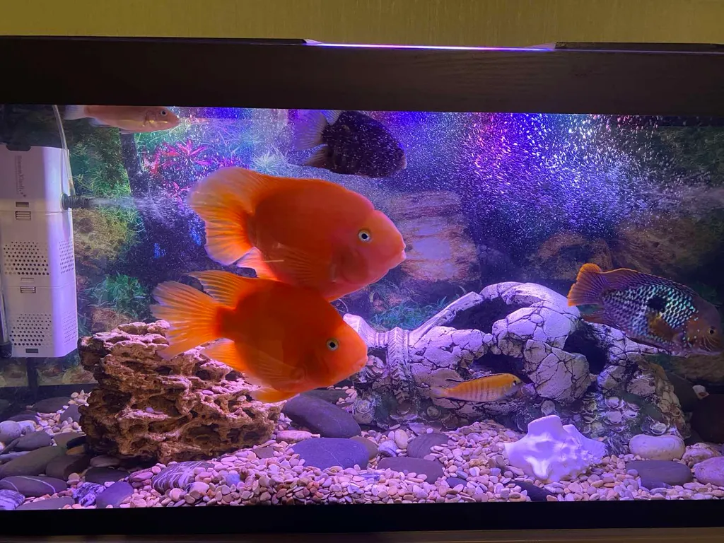 Коттедж Alex Paradise