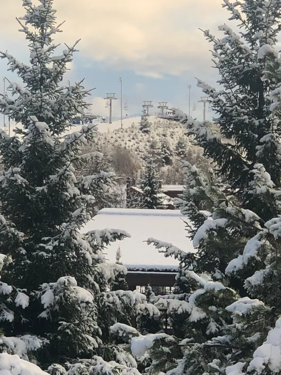 Апартаменты у горы Сорочаны