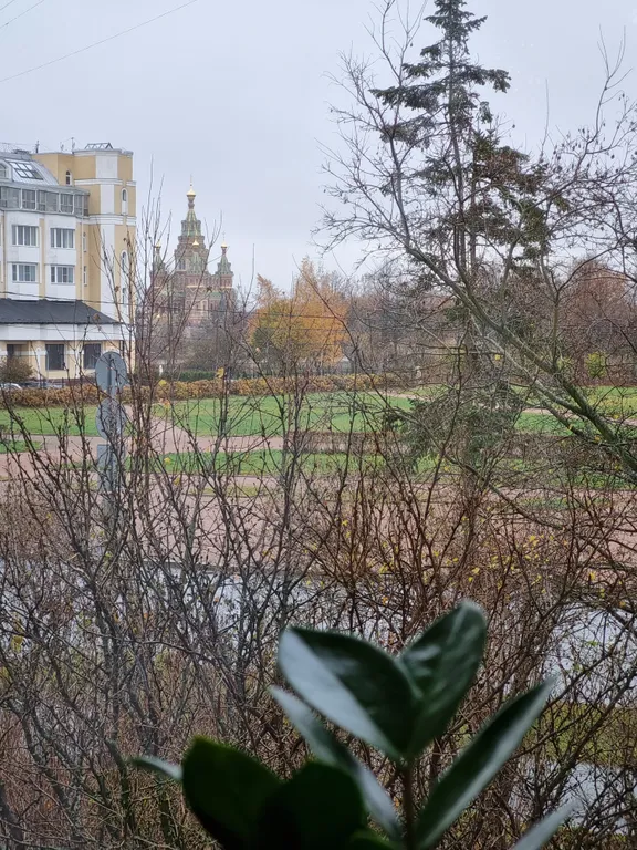 Квартира с видом на собор Святого Петра и Павла