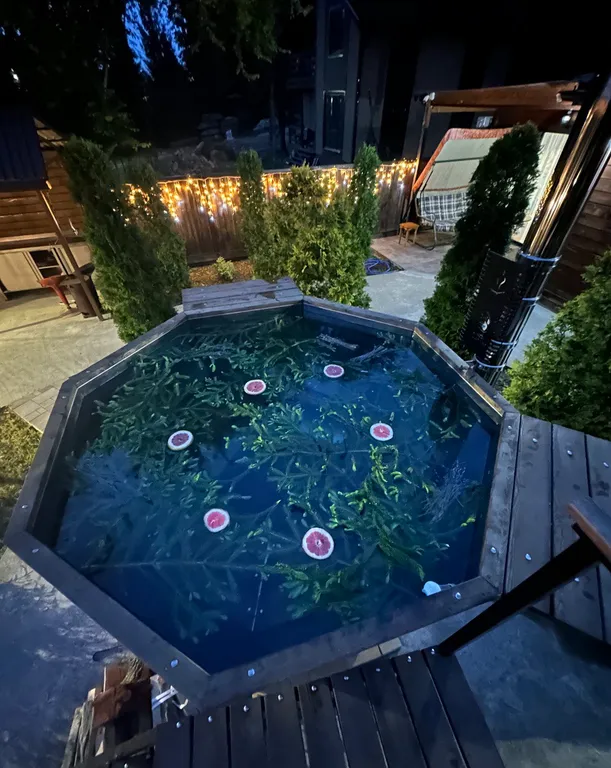 Дачный дом с русской баней и банным чаном