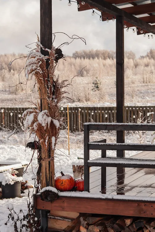 Эстетичный мини-домик с горячими ваннами и купелью
