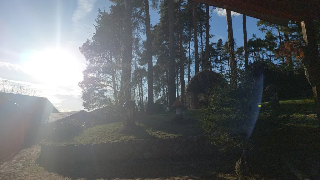 Дом-студия у Монрепо