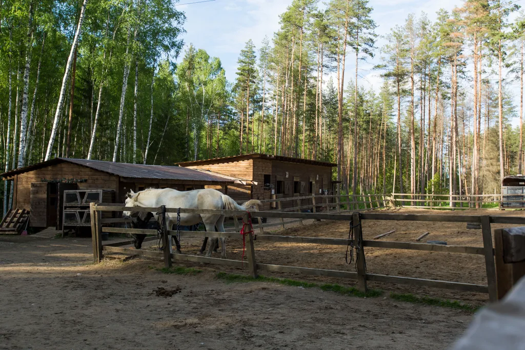 Коттедж Коттедж Chill House XL с сауной — Борисово