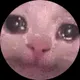 Егор