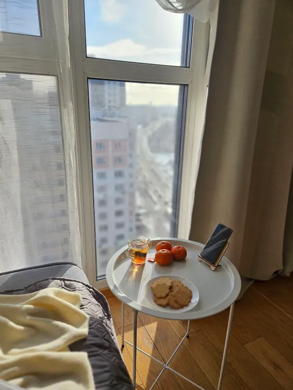 Стильная студия с панорамным окном на Борисовке White Lodging