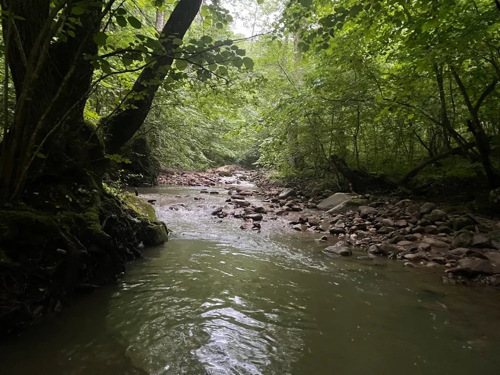 Сказочный домик в сердце леса