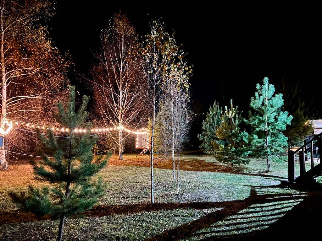 Стильный барн в соснах