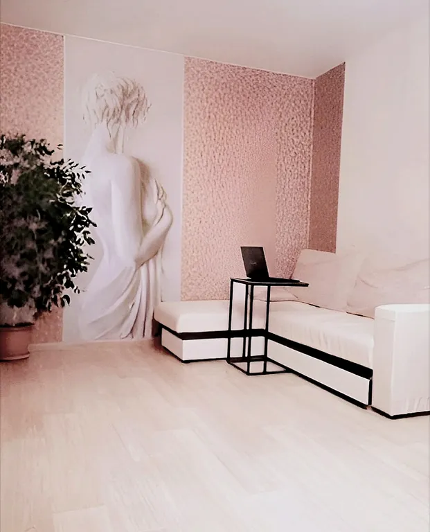 Квартира Квартира Камин, качеля! Напротив кл. Мешалкина. НВВКУ. НГУ. ЦНМТ. Мозайка. Эдэм — Новосибирск