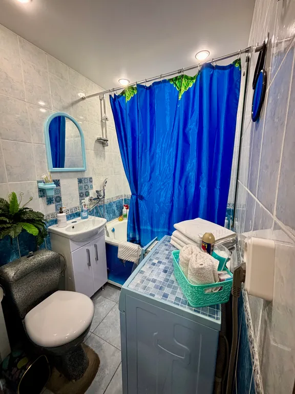 Апартаменты Драная кошка