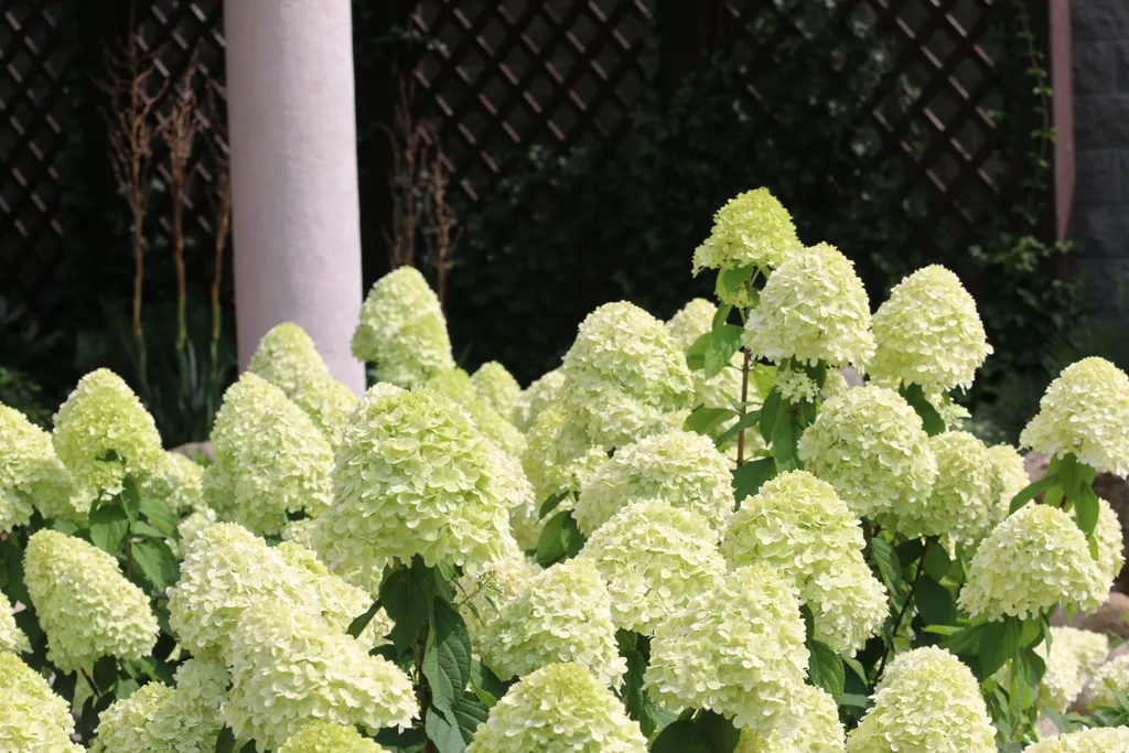 Вилла дзен с ванной спа и террасой с видом на сад